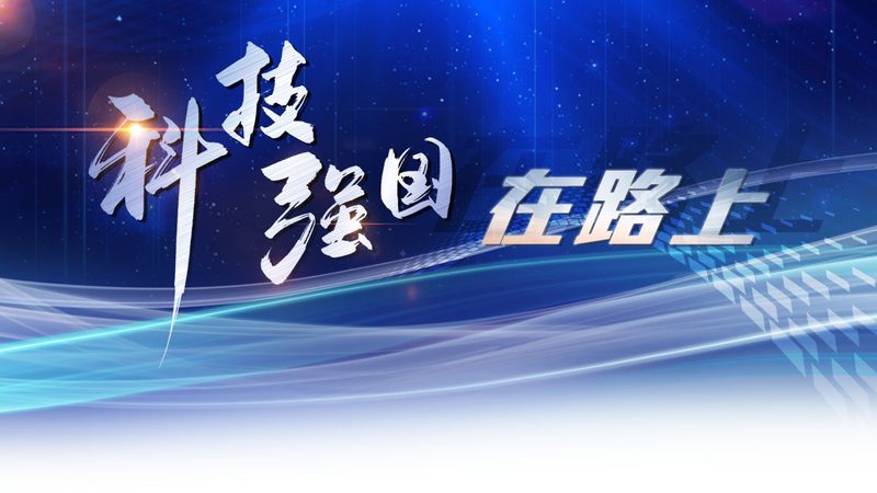 政务云运维服务的三级分类体系解析